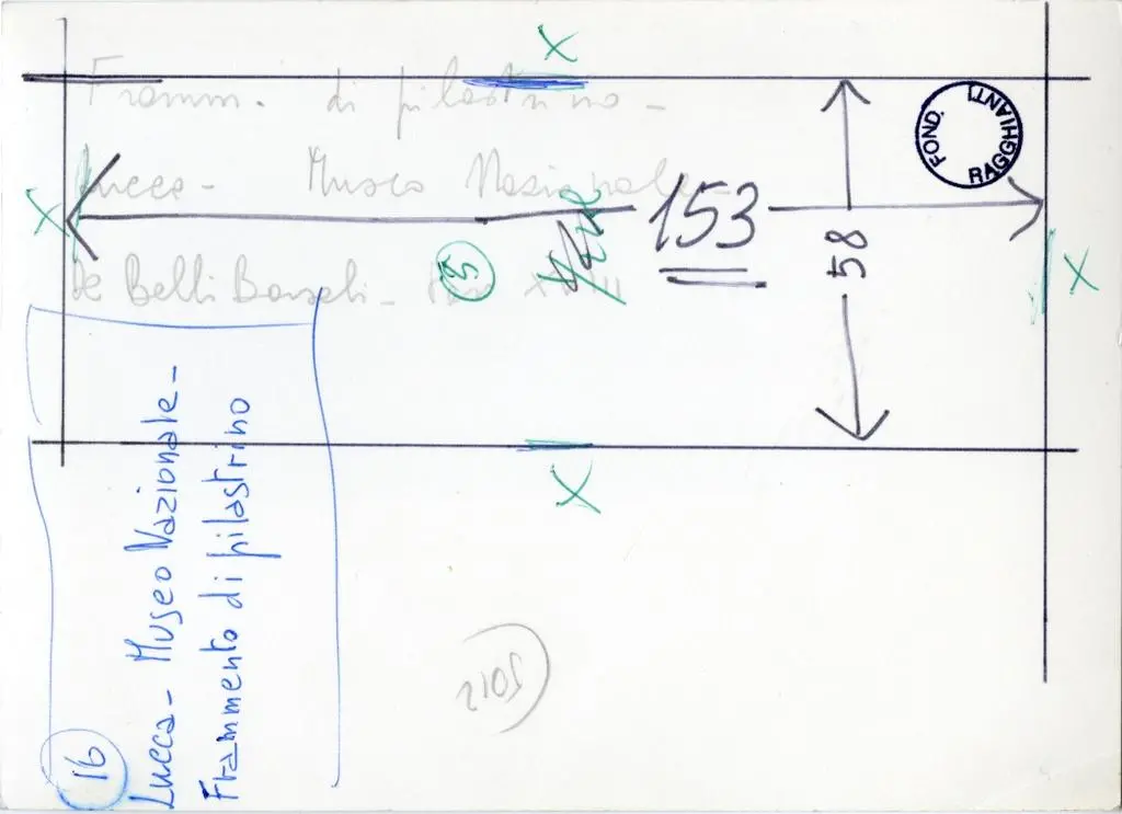 Anonimo , Anonimo lucchese - sec. VIII - Tralci, foglie e grappoli d'uva
