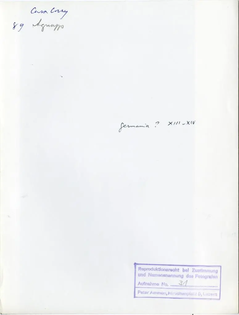 Ammon, Peter , Anonimo tedesco - sec. XIII/ XIV (?) - Cristo crocifisso e tessuto con motivi decorativi sullo sfondo