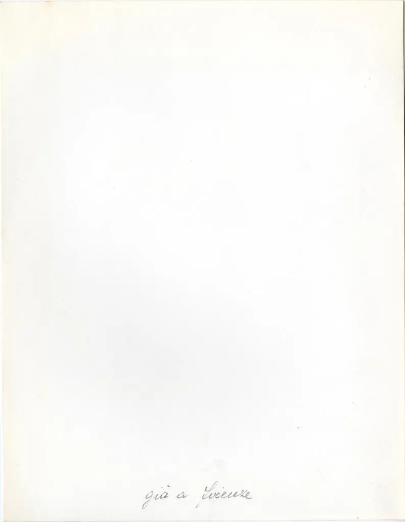 Anonimo , Anonimo toscano - sec. XIV/ XV - Madonna con Bambino. Particolare del busto