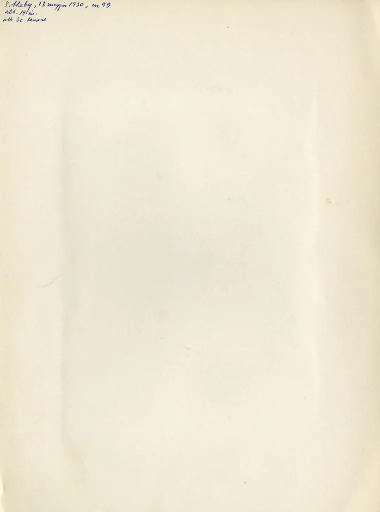 Anonimo , Anonimo senese - sec. XIV/ XV - Maria Vergine