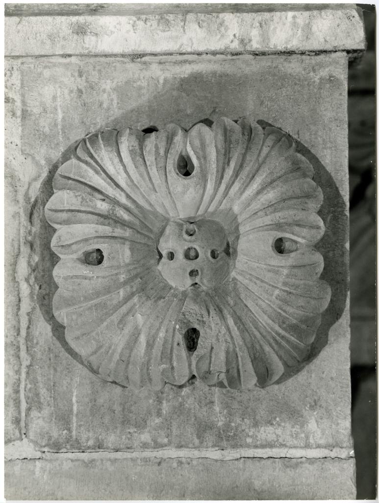 Anonimo sec. XII/ XIII , Motivo decorativo vegetale