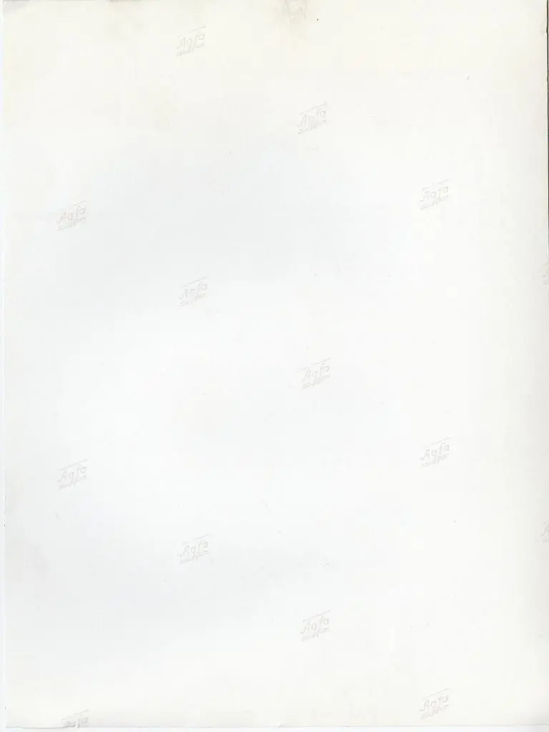 Anonimo , Anonimo - sec. XII/ XIII - Motivo decorativo vegetale