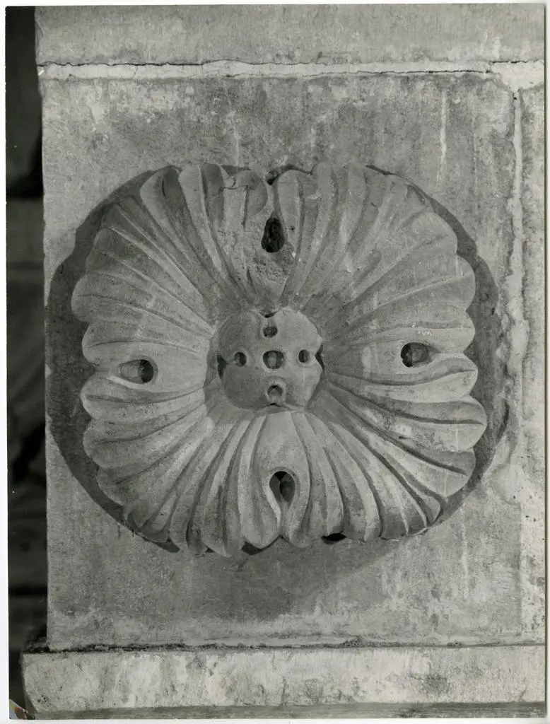 Anonimo , Anonimo - sec. XII/ XIII - Motivo decorativo vegetale