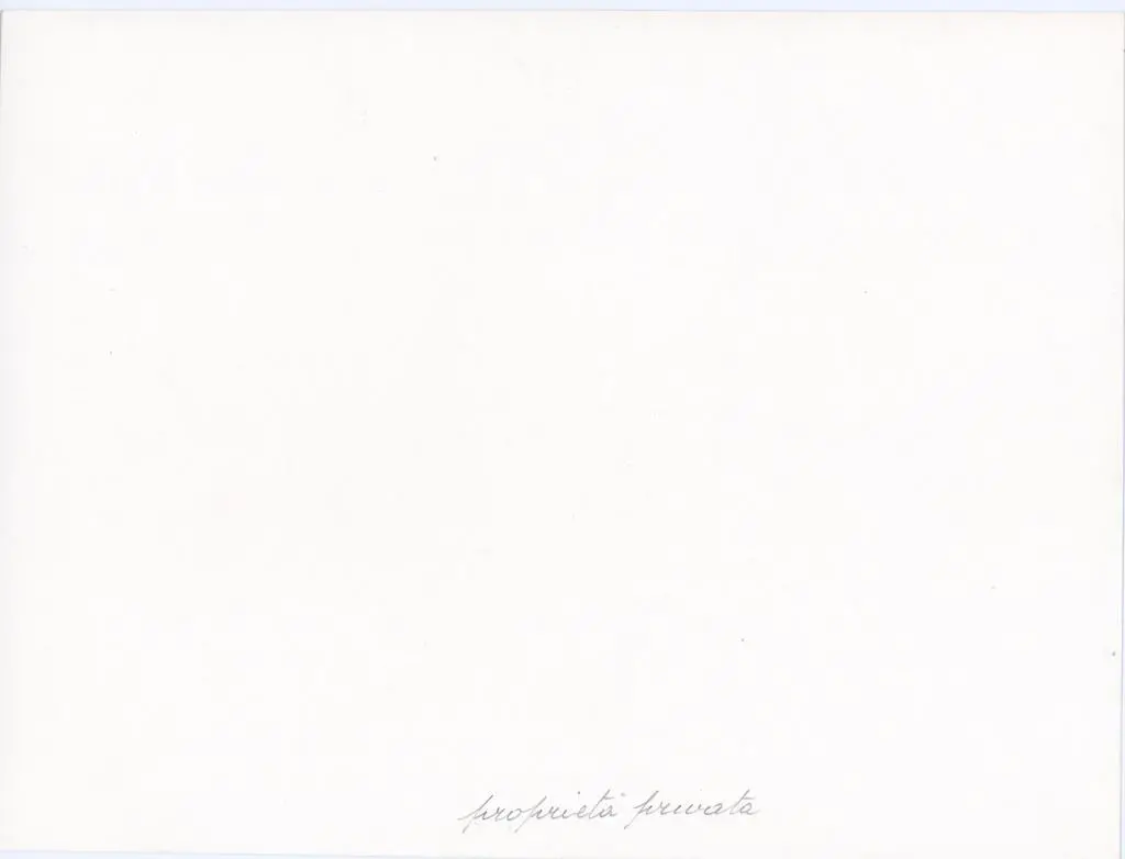 Anonimo , Anonimo - sec. XII/ XIII - Leone stiloforo