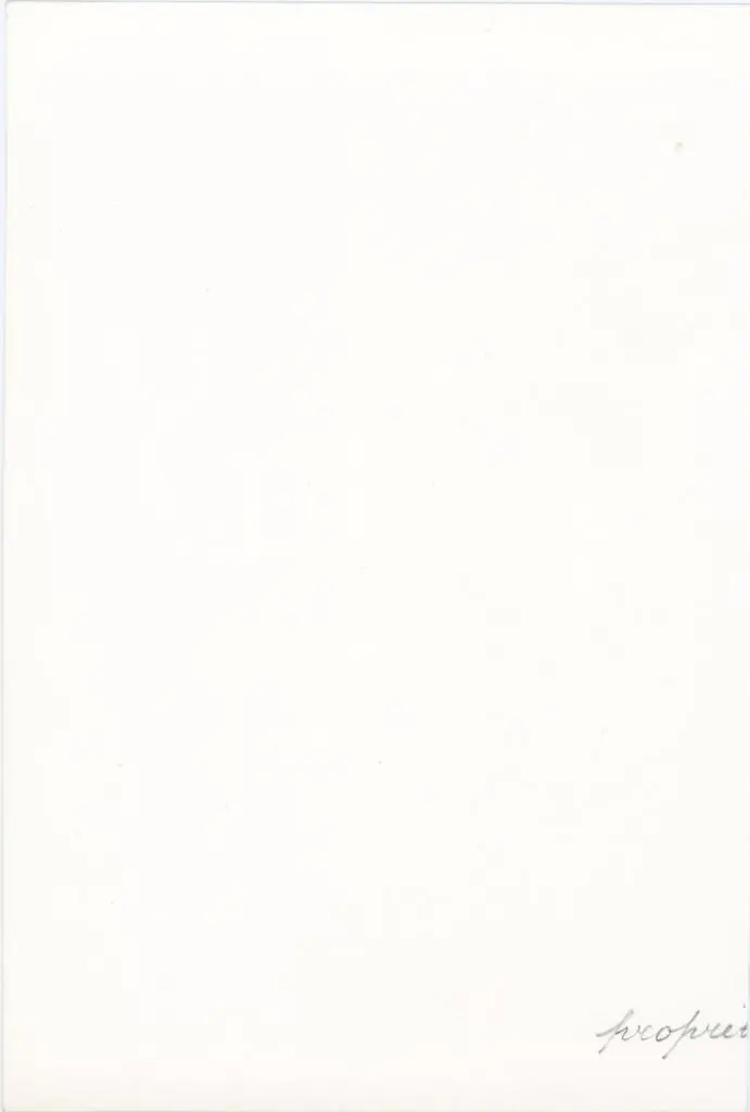 Anonimo , Anonimo - sec. XIII/ XIV - Storie sacre; Motivi decorativi vegetali