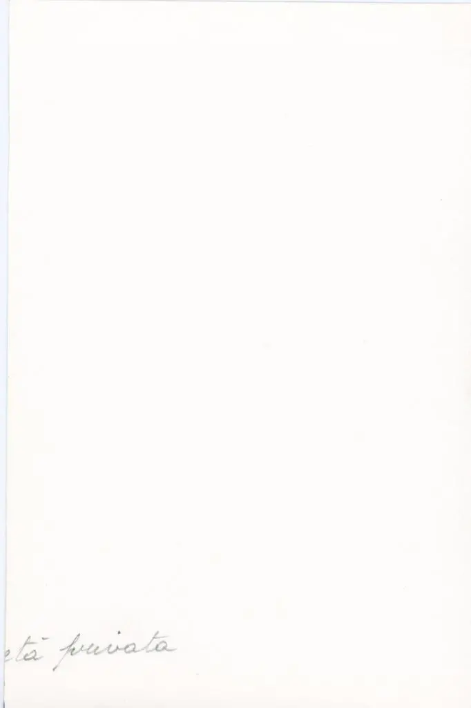 Anonimo , Anonimo - sec. XIII/ XIV - Storie sacre; Motivi decorativi vegetali