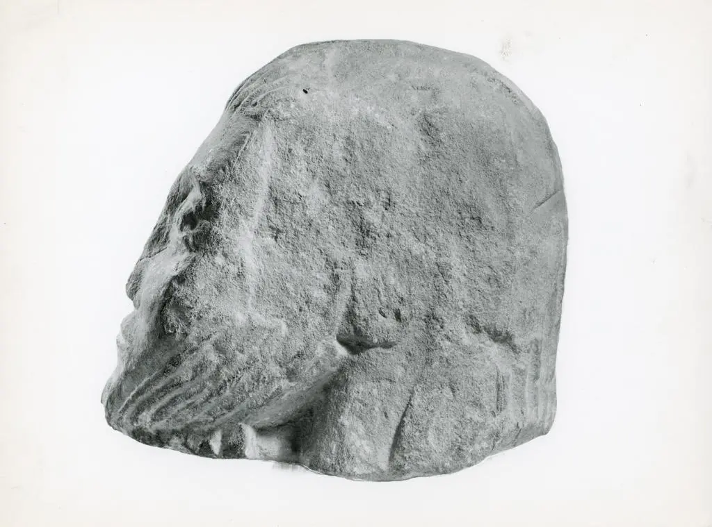 Anonimo , Anonimo - sec. XIII/ XIV - Testa d'uomo con barba