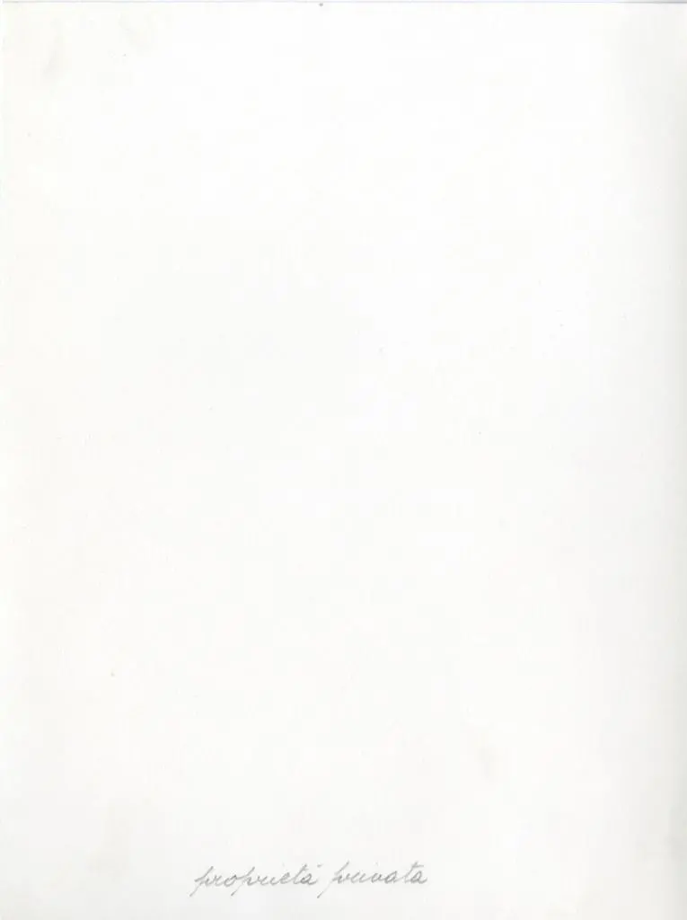 Anonimo , Anonimo sec. XIII/ XIV - Madonna con Bambino; Annunciazione; Cristo portacroce