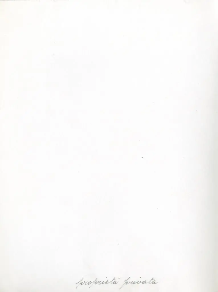 Anonimo , Anonimo sec. XIII/ XIV - Madonna con Bambino