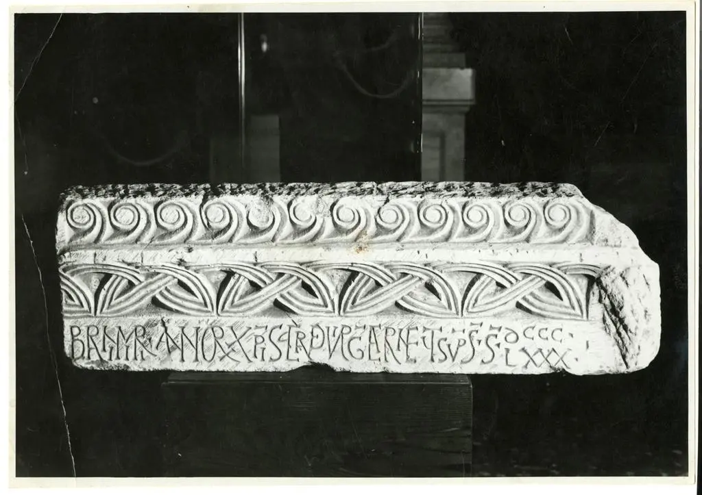 Anonimo sec. IX , Motivi decorativi geometrici e vegetali