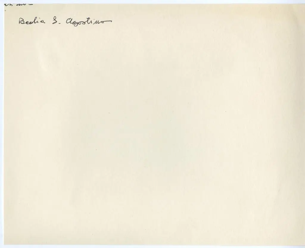 Anonimo , Anonimo lombardo sec. XII - Grifoni, dragoni e aquile; Motivi decorativi geometrici e vegetali; Stemma cardinalizio