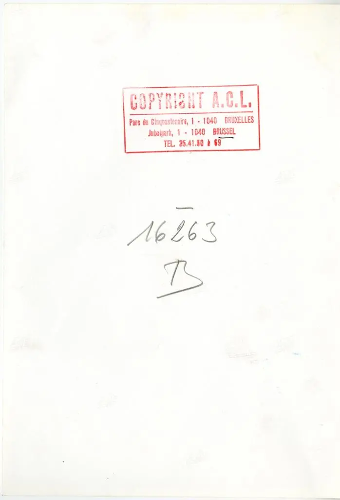 IRPA-KIK Institut royal du Patrimoine artistique-Koninklijk Instituut voor het Kunstpatrimonium , Anonimo sec. XIV - Adorazione dei Re Magi, particolare con Re Magio