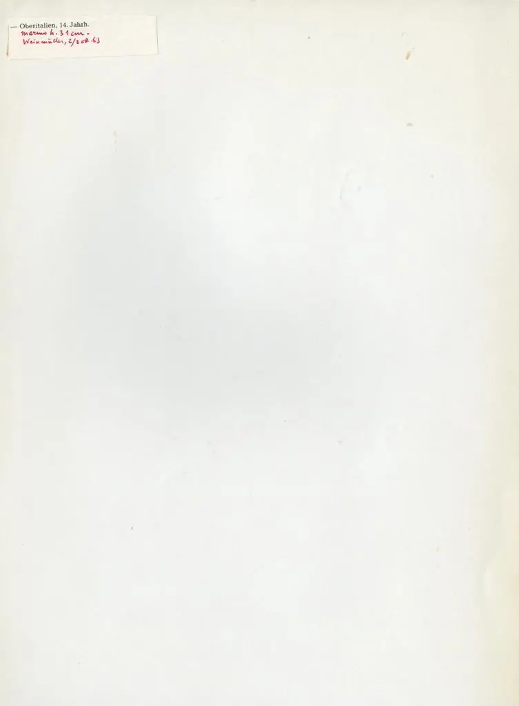 Anonimo , Anonimo dell'Italia settentrionale sec. XIV - Testa d'uomo con barba