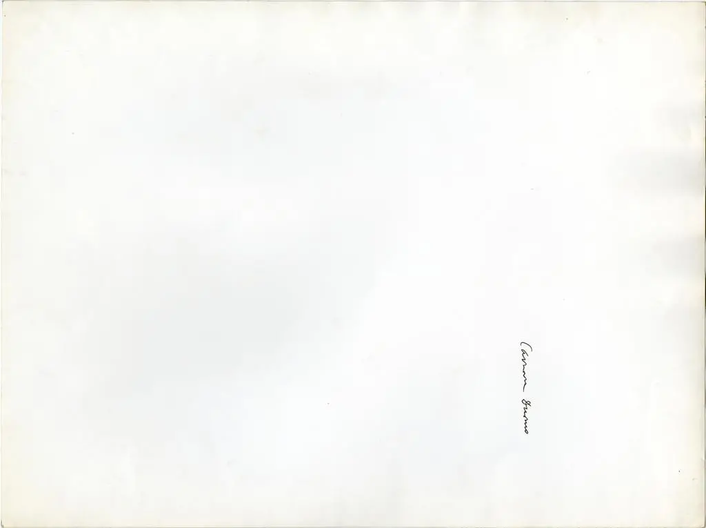 Anonimo, Gasperini M. , Carrara Duomo