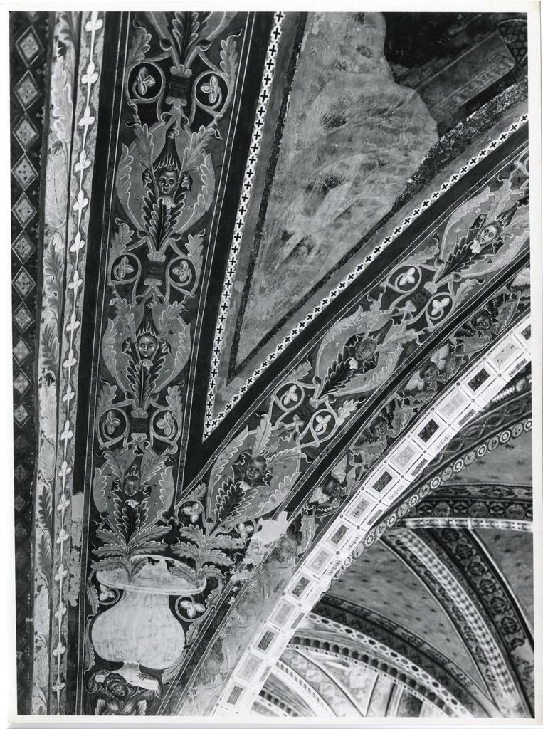Istituto Centrale per il Catalogo e la Documentazione: Fototeca Nazionale , Assisi - Bas. di S. Francesco - ch. sup. - transetto di destra