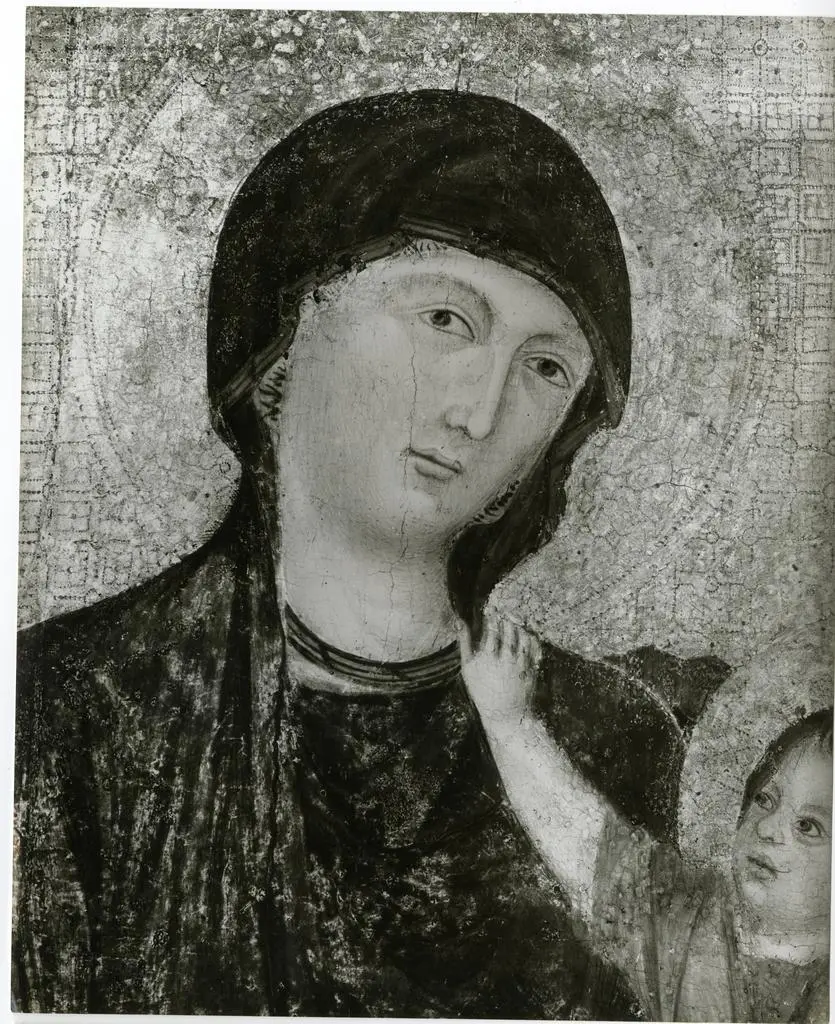 Gabinetto Fotografico della Soprintendenza Speciale per il Patrimonio Storico, Artistico ed Etnoantropologico e per il Polo Museale della citt&agrave; di Firenze , Bologna - S. Maria dei Servi