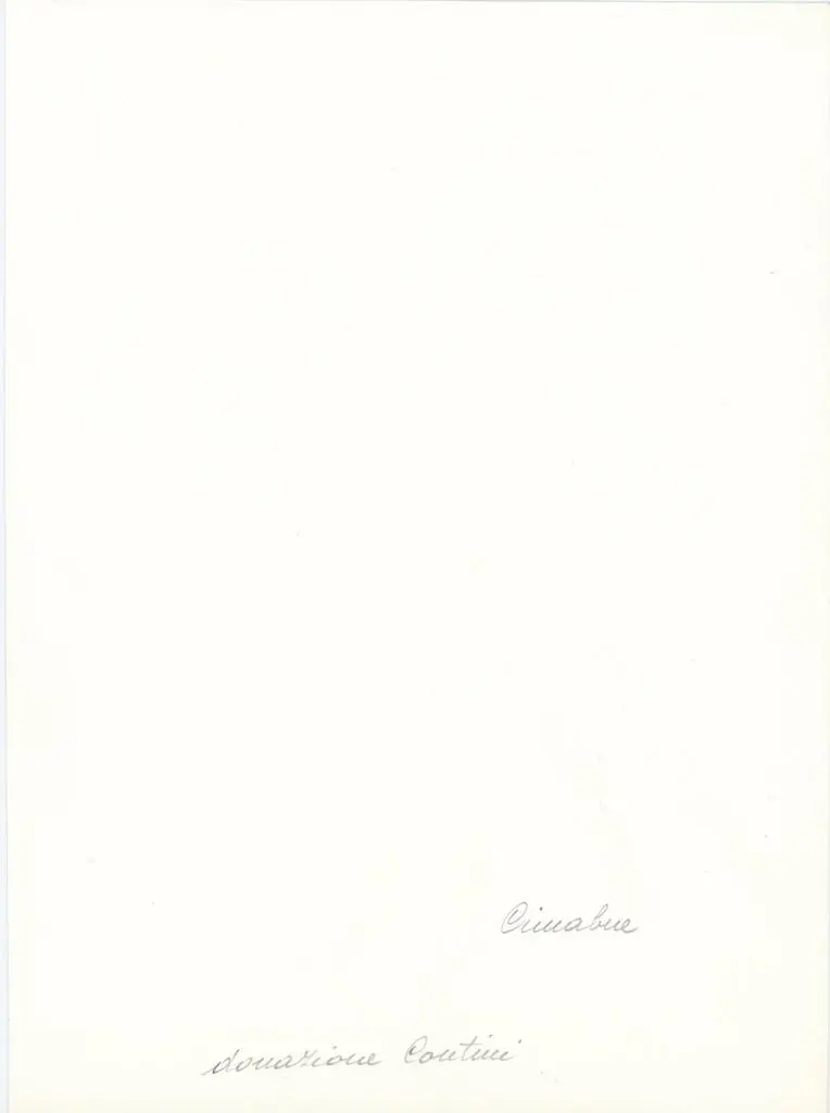 Anonimo , Maestro di San Martino - sec. XIV - Madonna con Bambino in trono tra san Domenico e san Francesco d'Assisi