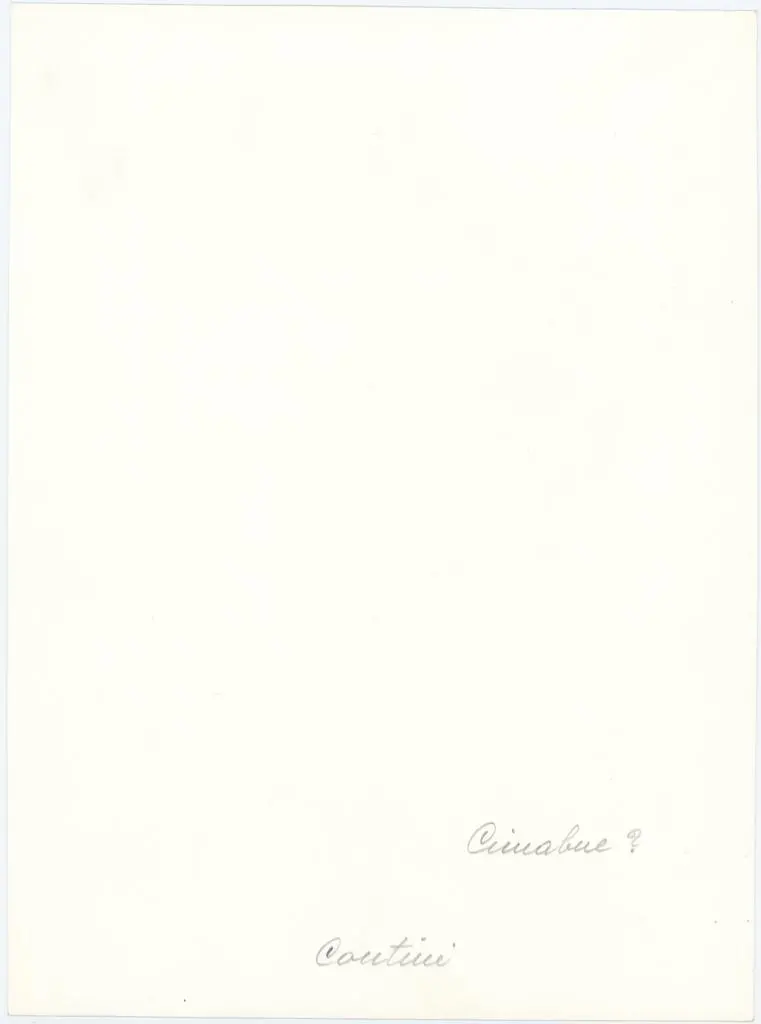 Anonimo , Maestro di San Martino - sec. XIV - Madonna con Bambino in trono tra san Domenico e san Francesco d'Assisi