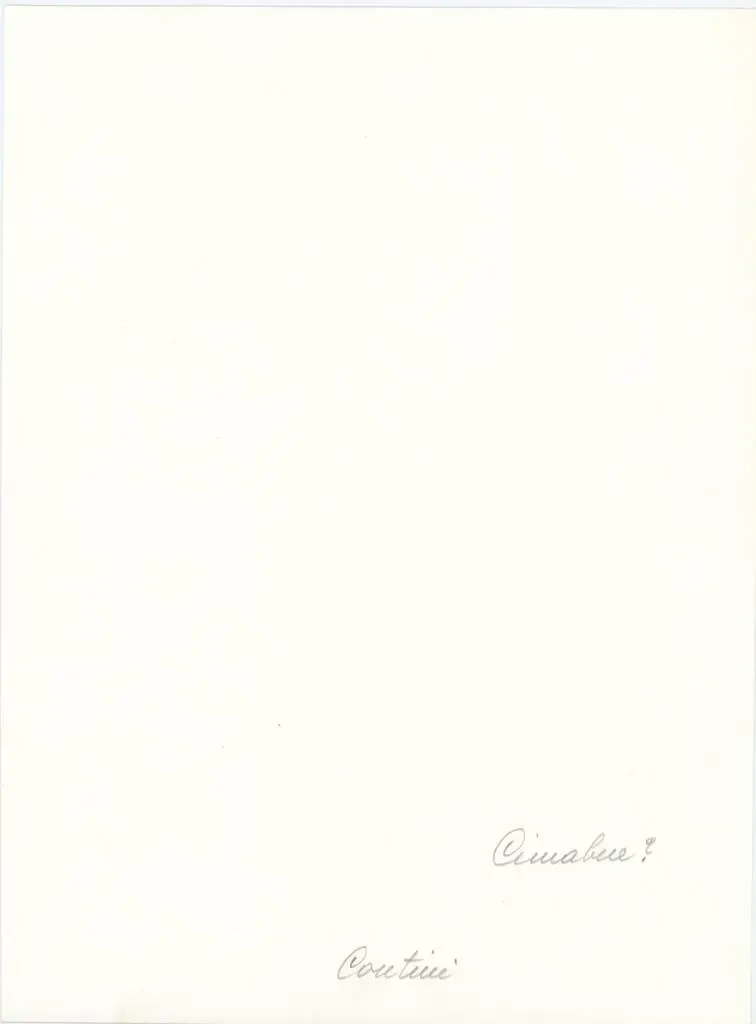 Anonimo , Maestro di San Martino - sec. XIV - Madonna con Bambino in trono tra san Domenico e san Francesco d'Assisi