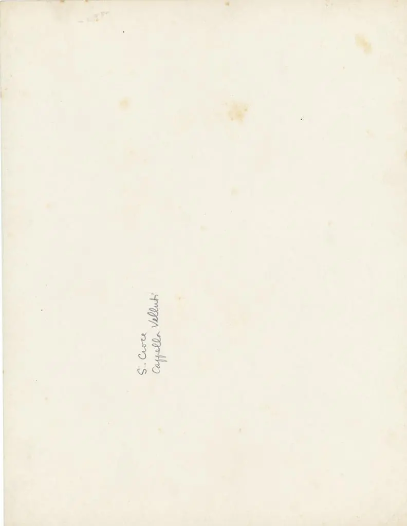 Anonimo , S. Croce - Cappella Velluti