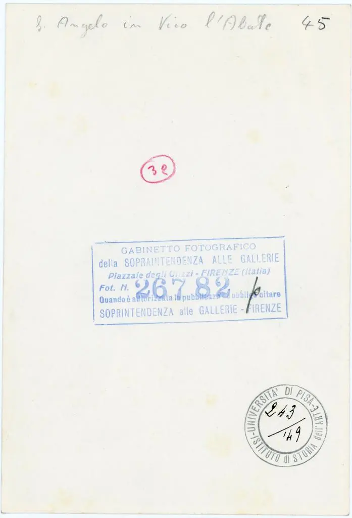 Gabinetto Fotografico della Soprintendenza Speciale per il Patrimonio Storico, Artistico ed Etnoantropologico e per il Polo Museale della citt&agrave; di Firenze , Maestro di Vico l'Abate - sec. XIII - Particolare di un albero