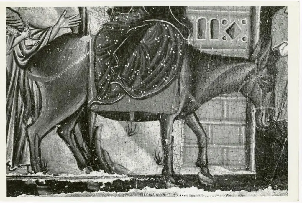 Gabinetto Fotografico della Soprintendenza Speciale per il Patrimonio Storico, Artistico ed Etnoantropologico e per il Polo Museale della citt&agrave; di Firenze , Maestro della Maddalena - sec. XIII - Fuga in Egitto, particolare dell'asino