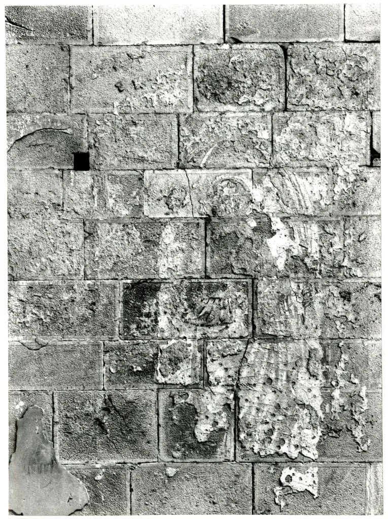 Universit&agrave; di Pisa. Dipartimento di Storia delle Arti , Pisa - San Matteo - sinopia