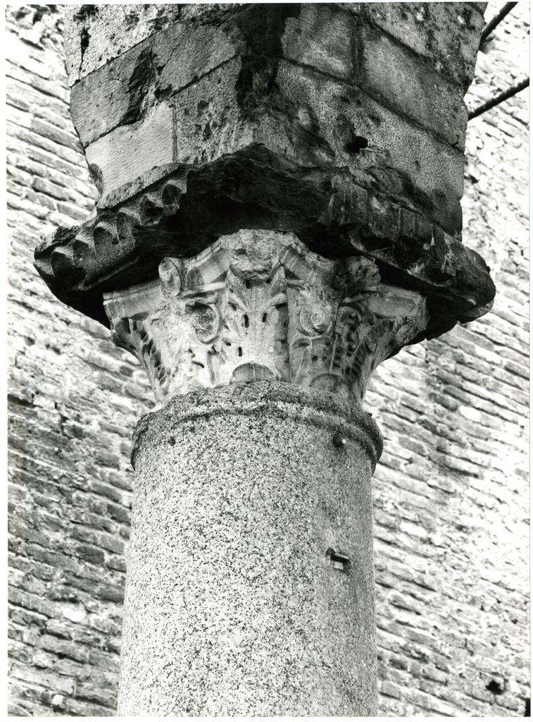 Anonimo sec. XII/ XIII , Motivo decorativo fitomorfo con foglie d'acanto