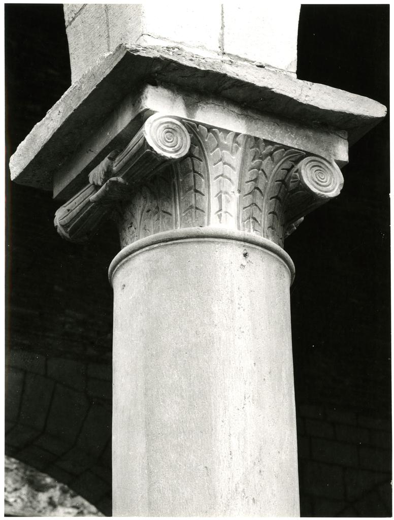 Anonimo sec. XII/ XIII , Motivi decorativi fitomorfi