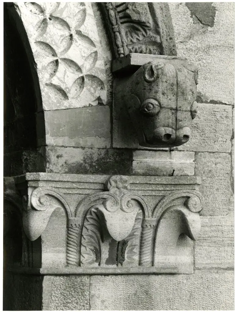 Anonimo sec. XII , Protome, Motivi decorativi fitomorfi