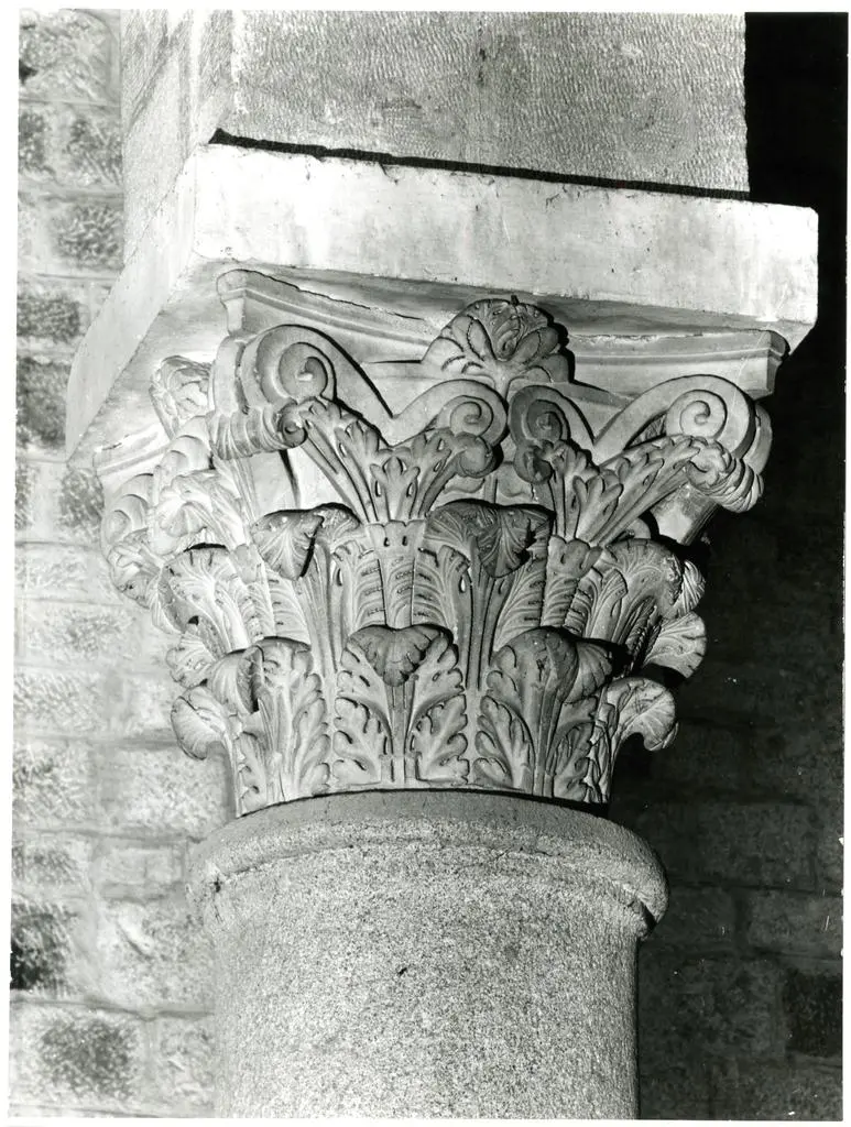 Universit&agrave; di Pisa. Dipartimento di Storia delle Arti , Anonimo - sec. XII - Motivi decorativi fitomorfi