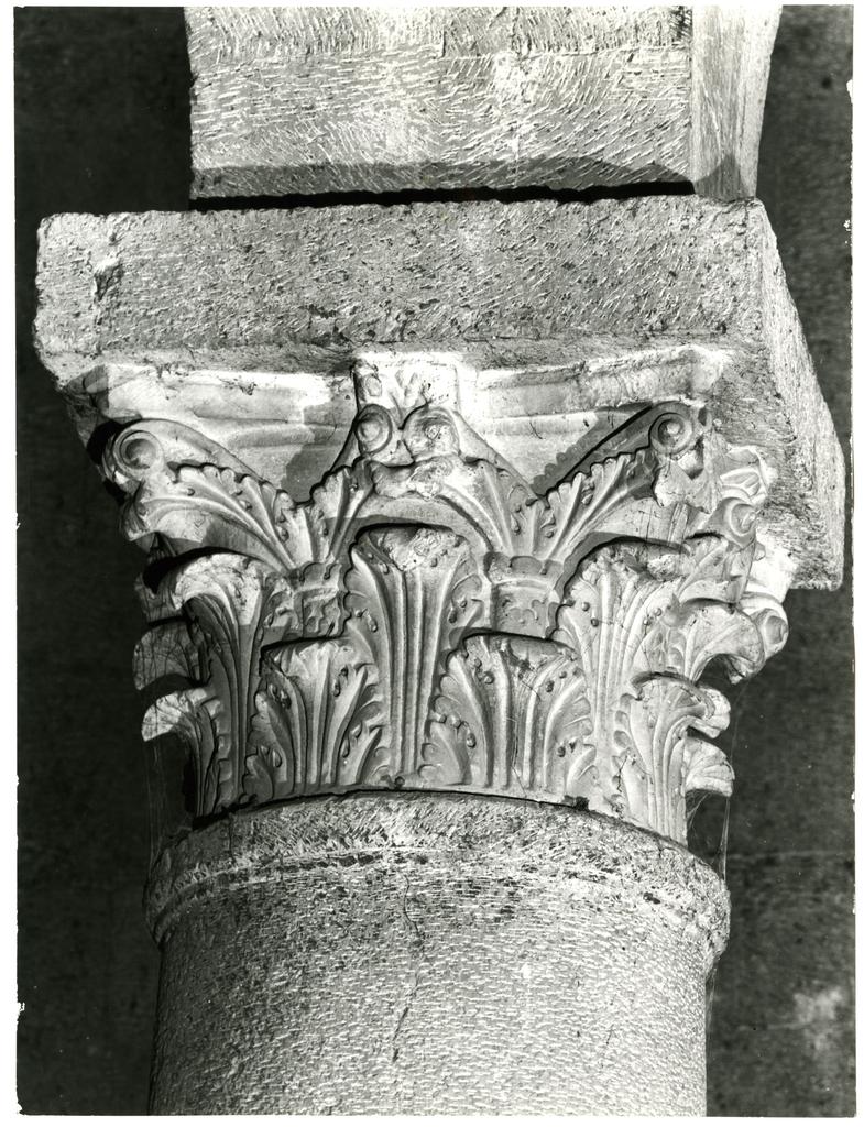 Università di Pisa. Dipartimento di Storia delle Arti , Anonimo - sec. XII - Motivi decorativi fitomorfi