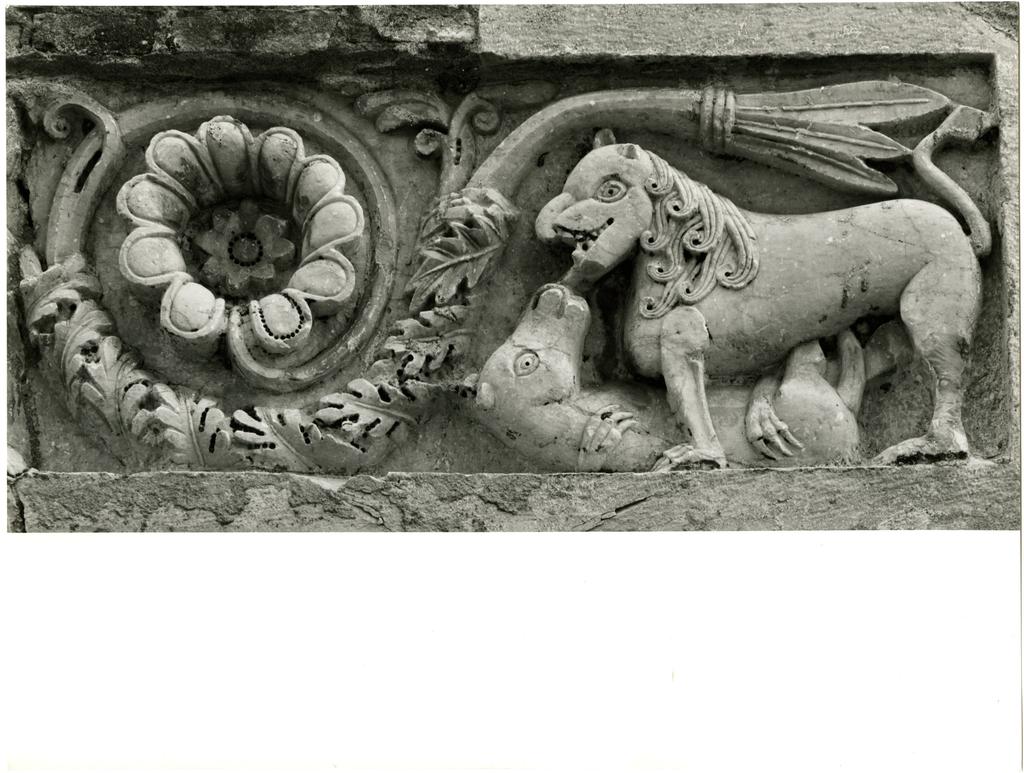 Università di Pisa. Dipartimento di Storia delle Arti , Pappiana - part. rilievo in facciata