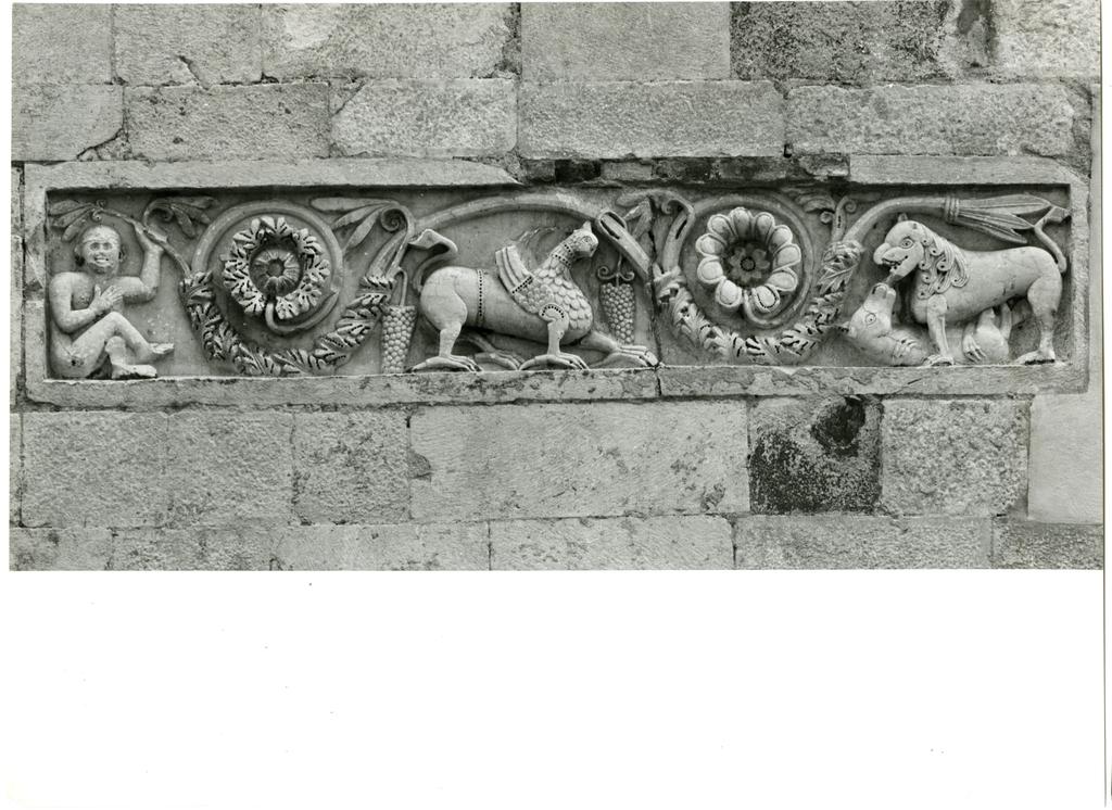 Università di Pisa. Dipartimento di Storia delle Arti , Pappiana - rilievo in facciata