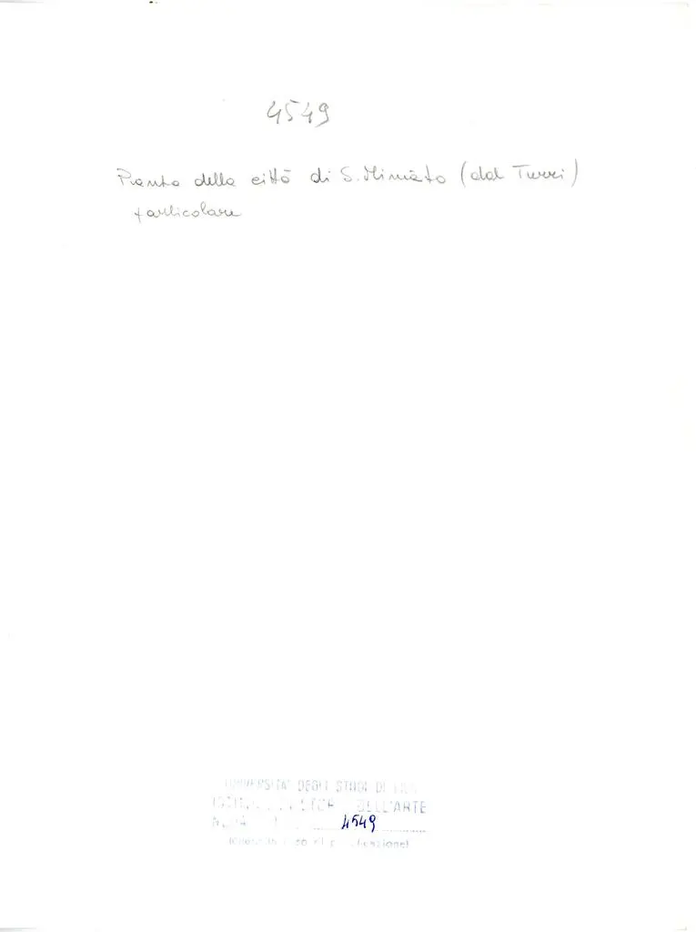 Universit&agrave; di Pisa. Dipartimento di Storia delle Arti , Pianta della citt&agrave; di San Miniato (dal Turri), particolare