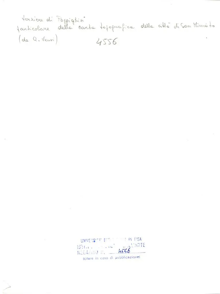 Universit&agrave; di Pisa. Dipartimento di Storia delle Arti , terziere di Poggighisi particolare della carta topografica della citt&agrave; di San Miniato (da A. Vensi)