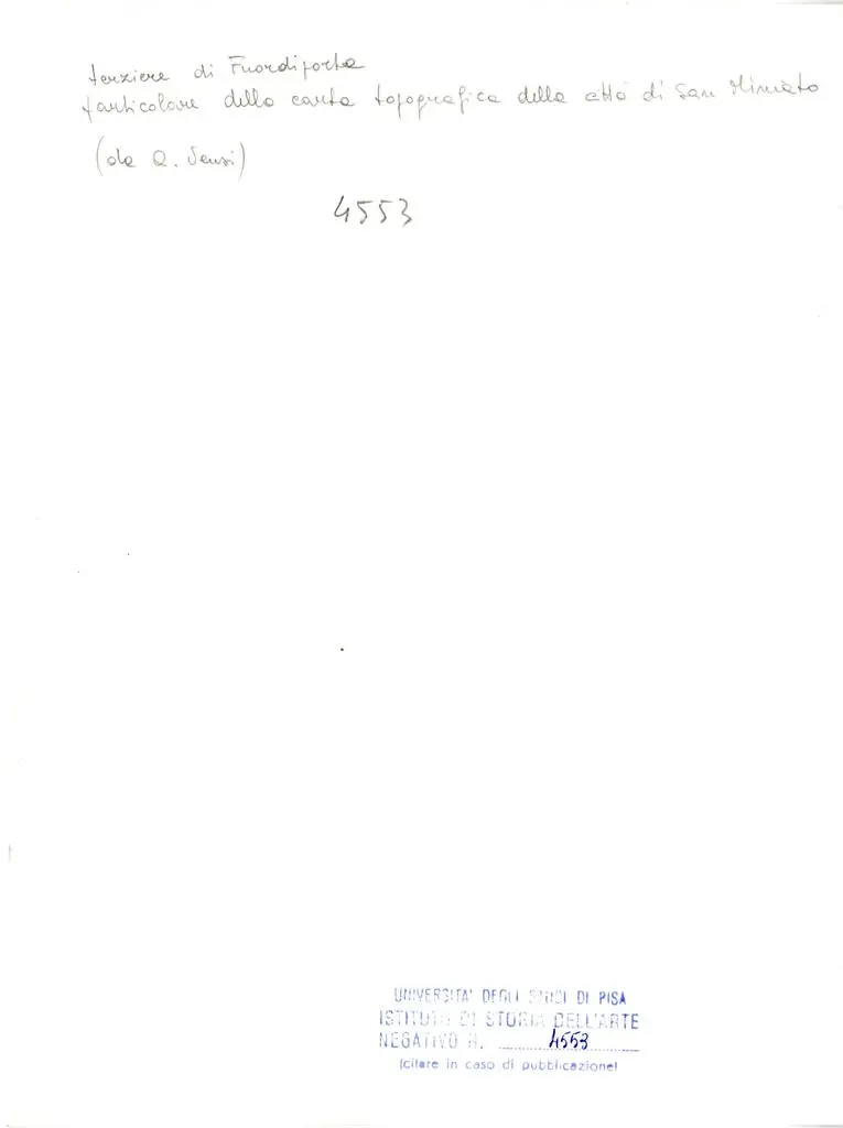 Universit&agrave; di Pisa. Dipartimento di Storia delle Arti , terziere di Fuordiporta particolare della carta topografica della citt&agrave; di San Miniato (da A. Vensi)