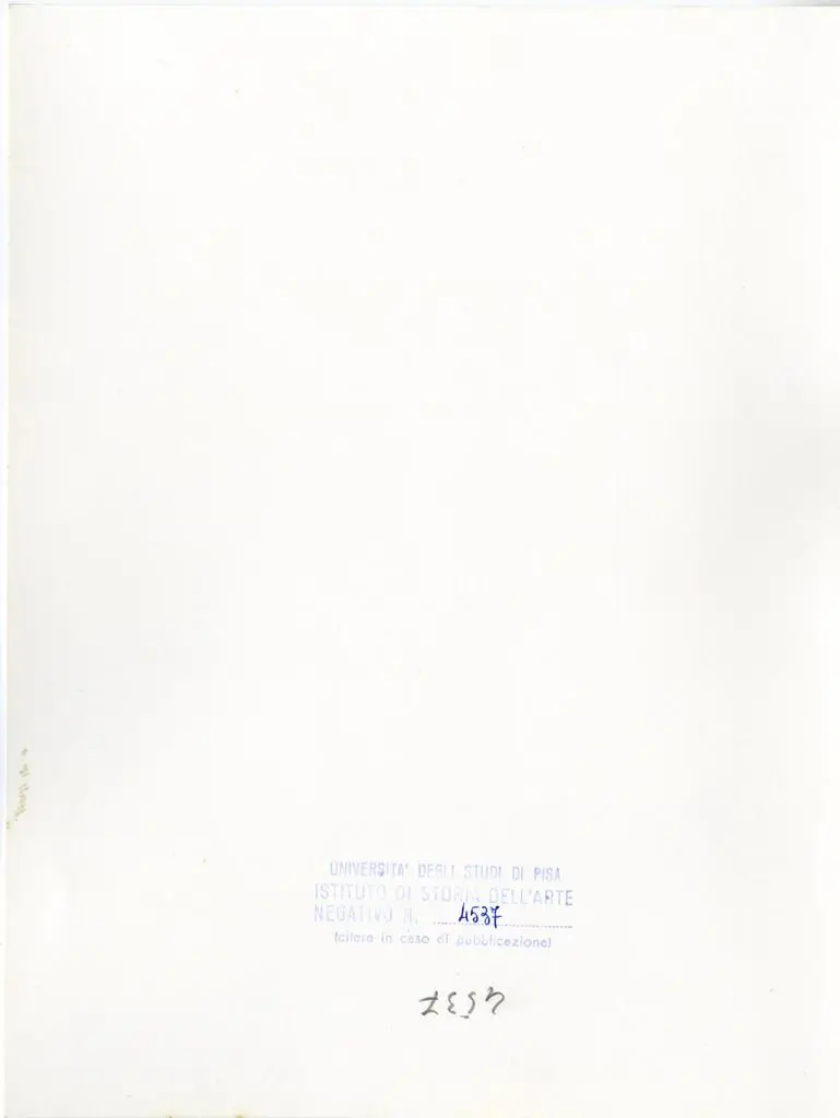 Universit&agrave; di Pisa. Dipartimento di Storia delle Arti , Anonimo - sec. XVI - Peduccio