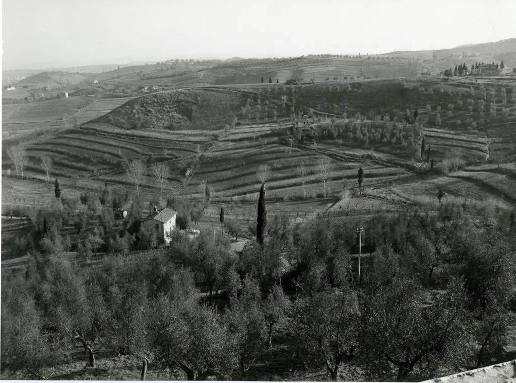 Universit&agrave; di Pisa. Dipartimento di Storia delle Arti , Anonimo - sec. XX - Veduta