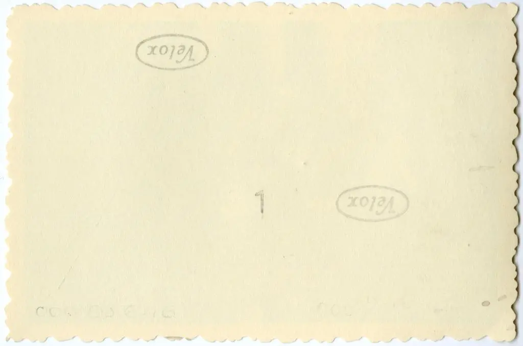 Anonimo , Anonimo francese - sec. XI - Motivi decorativi a girali vegetali; Sansone uccide il leone