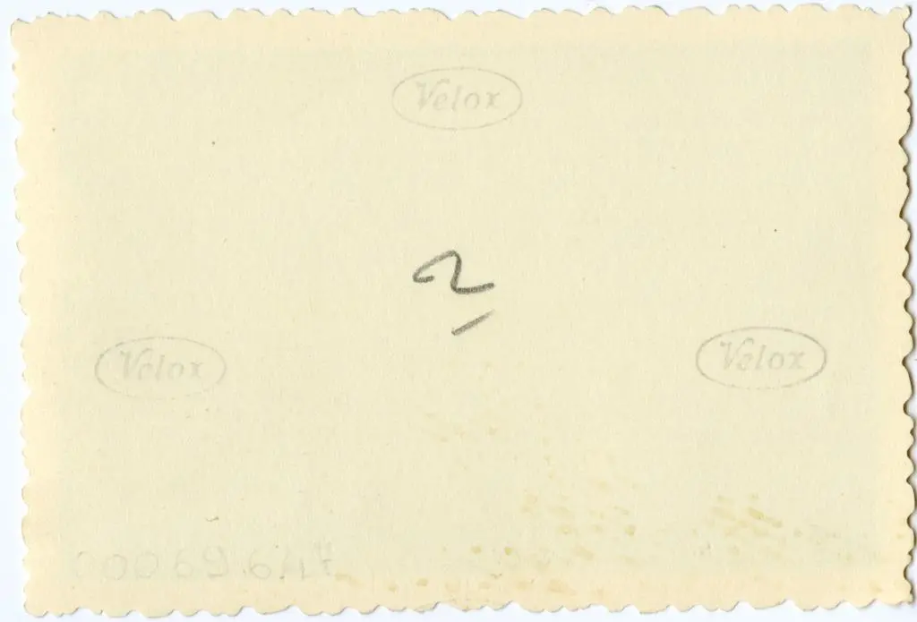 Anonimo , Anonimo francese - sec. XI - Motivi decorativi a girali vegetali; Crocifissione di san Pietro