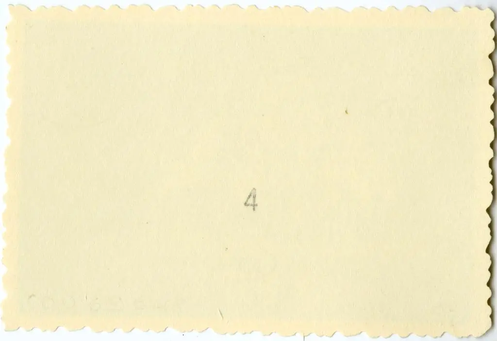 Anonimo , Anonimo francese - sec. XI - Motivi decorativi a girali vegetali; Capitello figurato