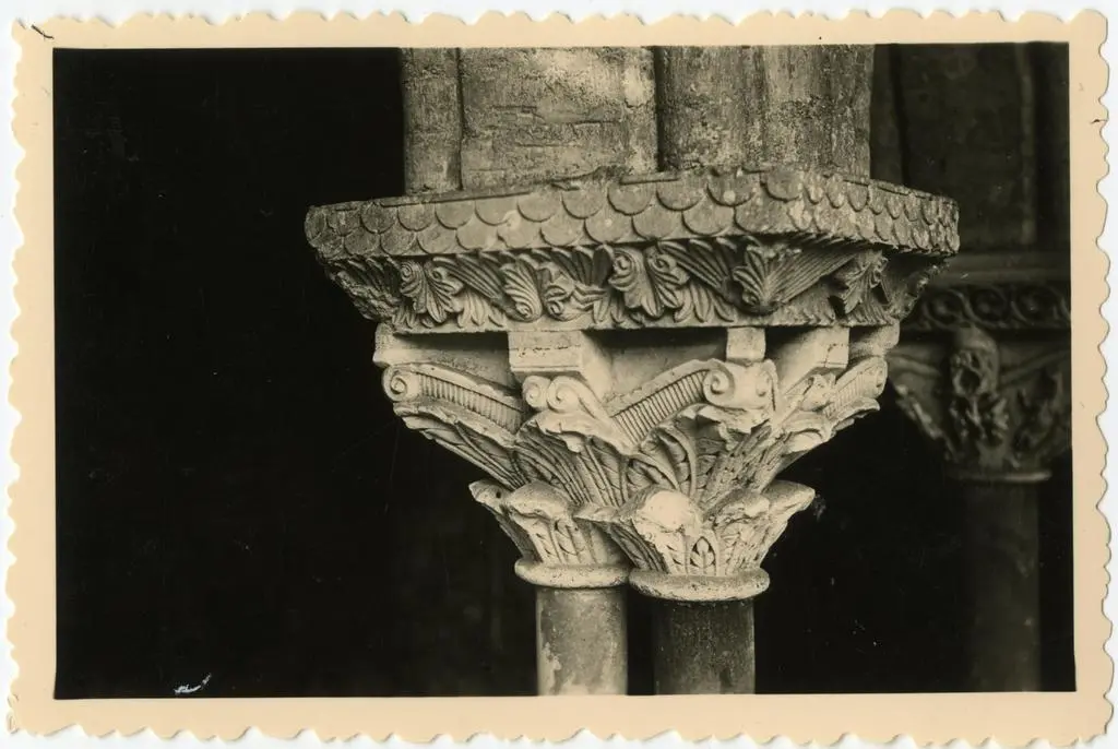 Anonimo , Anonimo francese - sec. XI - Motivi decorativi fitomorfi