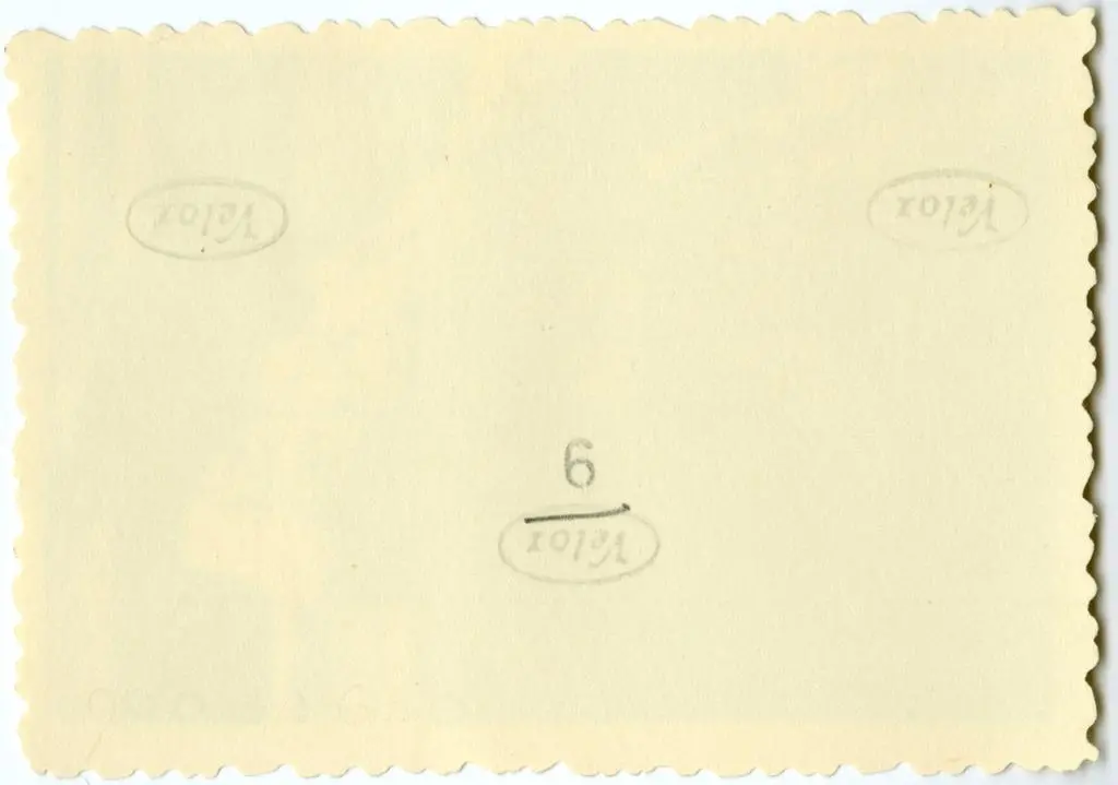 Anonimo , Anonimo francese - sec. XI - Motivi decorativi vegetali e animali; Festoni