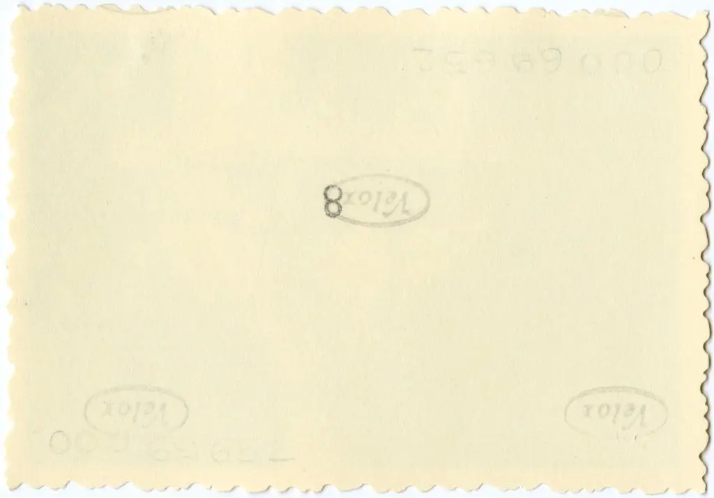 Anonimo , Anonimo francese - sec. XI - Motivi decorativi vegetali con uccelli; Motivo decorativo fitomorfo con foglie d'acanto