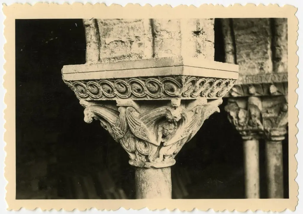 Anonimo , Anonimo francese - sec. XI - Motivi decorativi fitomorfi; Motivi decorativi a girali vegetali