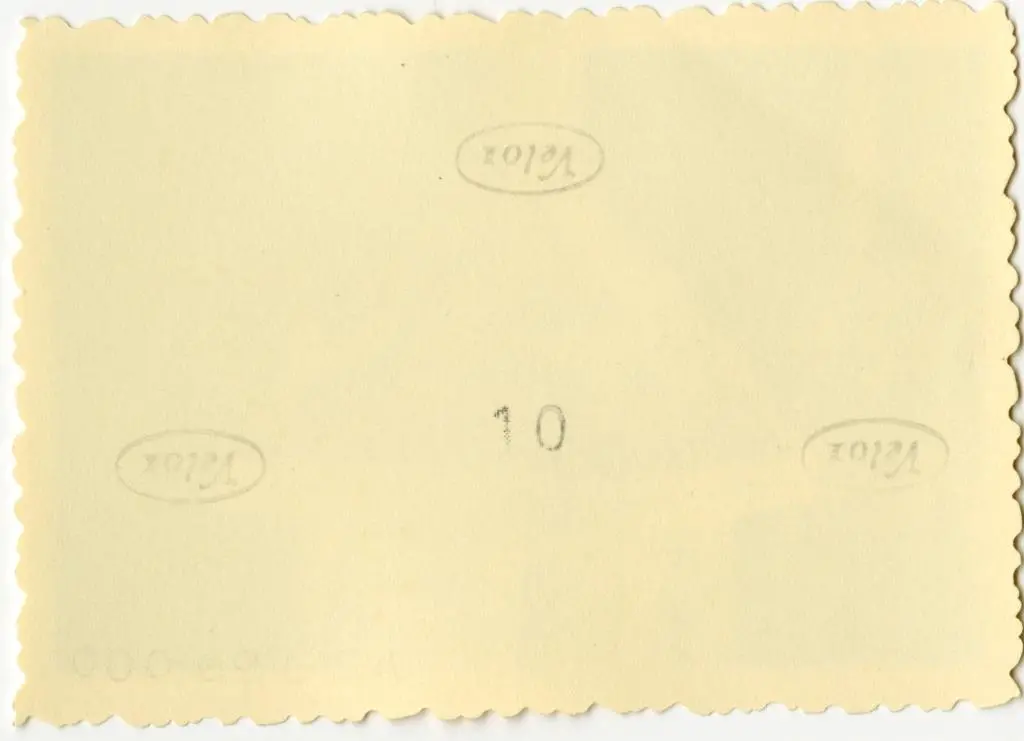 Anonimo , Anonimo francese - sec. XI - Motivi decorativi fitomorfi; Motivi decorativi a girali vegetali