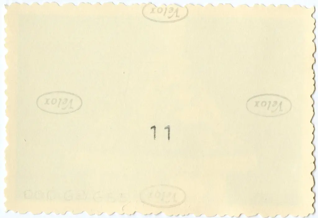 Anonimo , Anonimo francese - sec. XI - Telamoni; Motivi decorativi fitomorfi