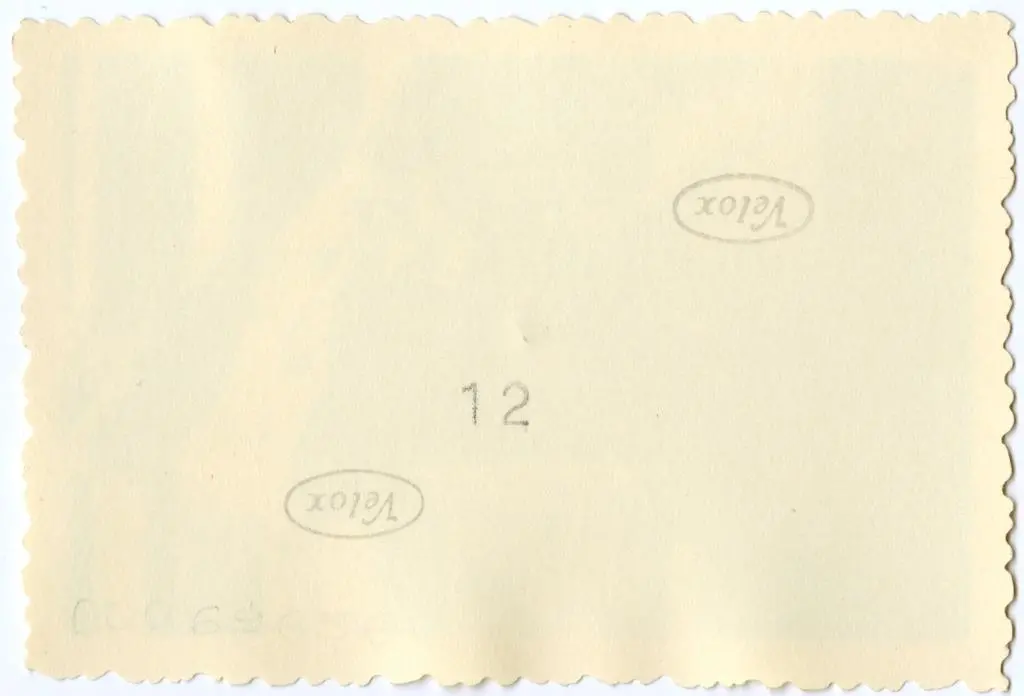 Anonimo , Anonimo francese - sec. XI - Capitello figurato; Motivi decorativi a girali vegetali