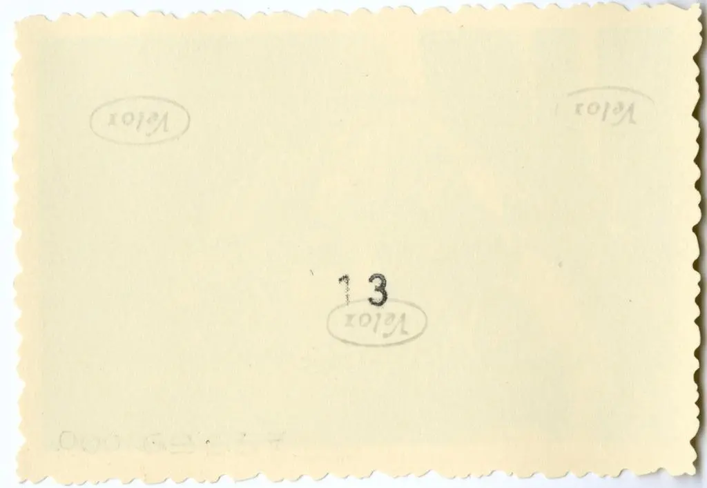 Anonimo , Anonimo francese - sec. XI - Motivi decorativi a girali vegetali